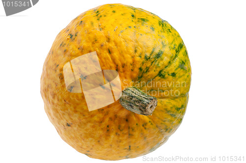 Image of Colourful pumpkin isolated on white background.