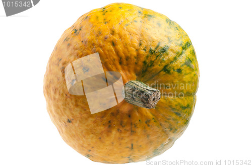 Image of Colourful pumpkin isolated on white background.