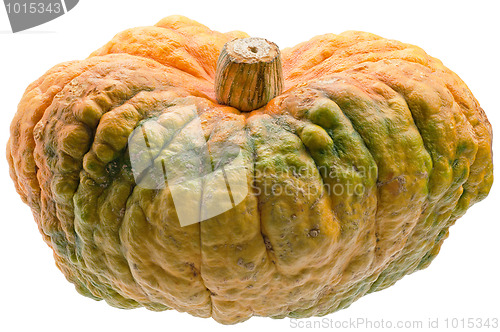 Image of Colourful pumpkin isolated on white background.