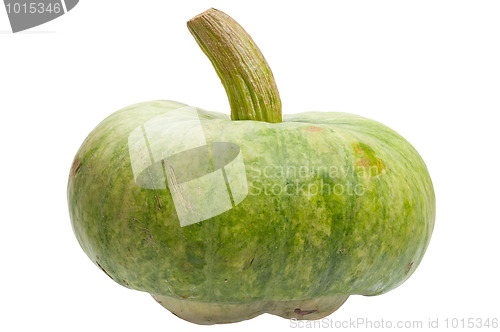 Image of Green pumpkin isolated on white background.