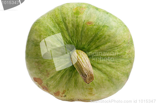 Image of Green pumpkin isolated on white background.