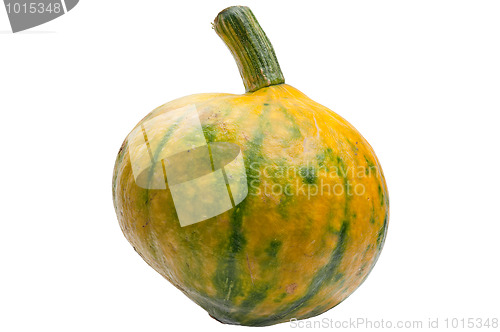 Image of Colourful pumpkin isolated on white background.