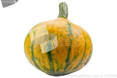 Image of Colourful pumpkin isolated on white background.