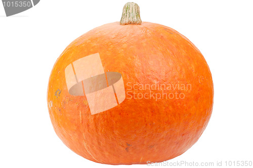Image of Orange pumpkin isolated on white background.