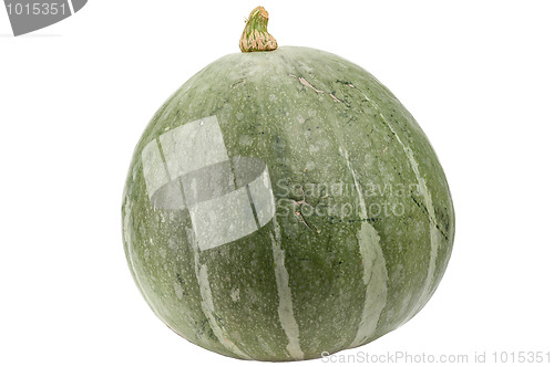 Image of Green pumpkin isolated on white background.