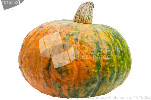 Image of Colourful pumpkin isolated on white background.