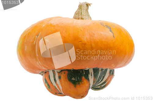 Image of Orange pumpkin isolated on white background.