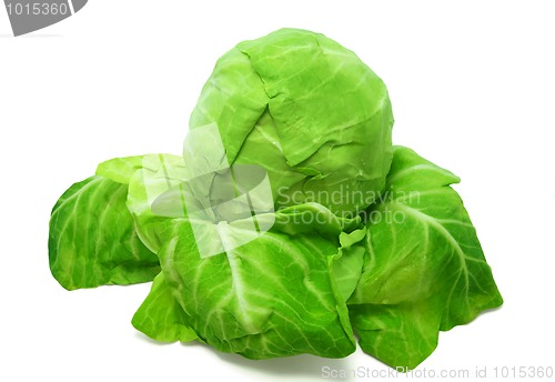 Image of Cabbage on white background
