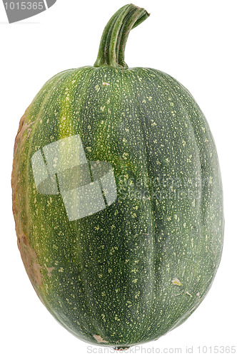 Image of Green pumpkin isolated on white background.