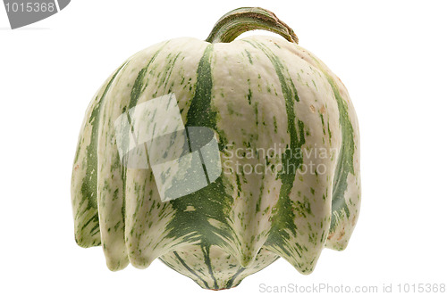 Image of Colourful pumpkin isolated on white background.