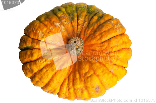 Image of Colourful pumpkin isolated on white background.
