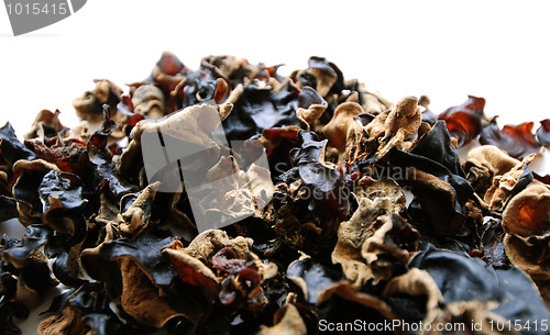 Image of arage kikurage cloud wood ear mushroom