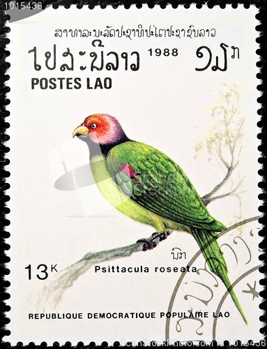 Image of Blossom-headed Parakeet bird stamp.