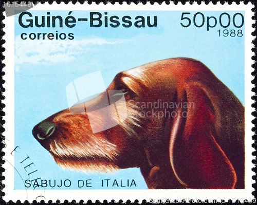 Image of Sabujo dog stamp.