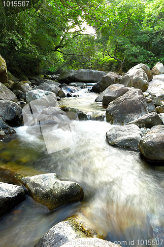 Image of water spring in forest