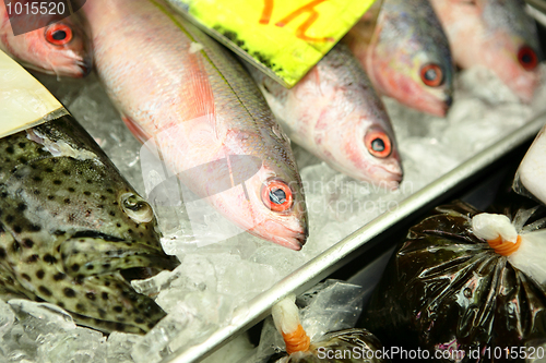 Image of fish for sale