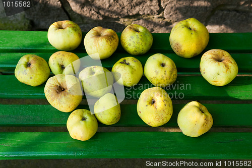 Image of Apples