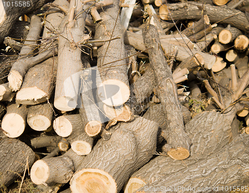 Image of logs