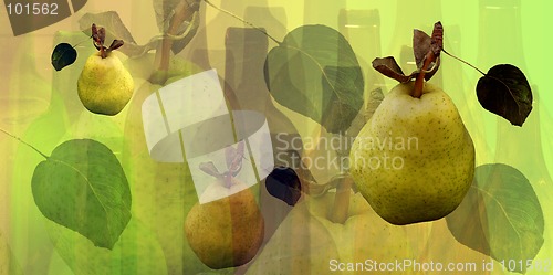 Image of Bottles and pears pattern