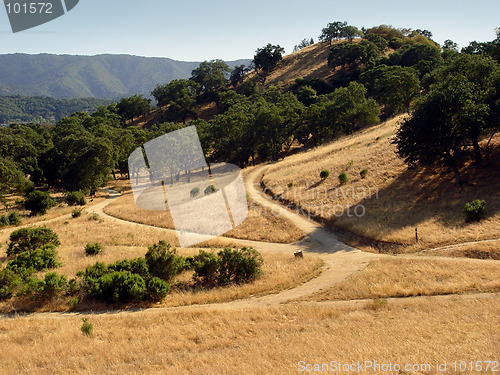 Image of California hills