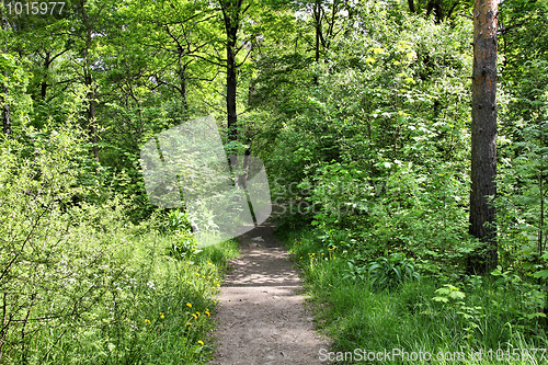 Image of Stockholm park