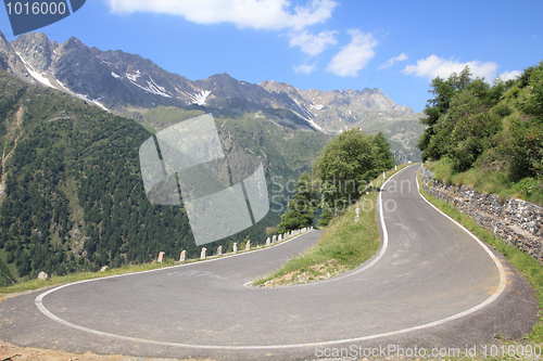 Image of Alpine road