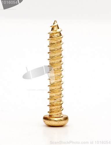 Image of Single Screw Macro