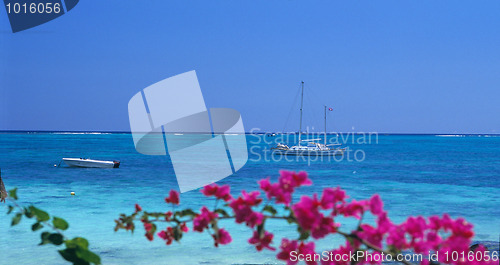 Image of Boats at Trou aux biches beach, Mauritius Island