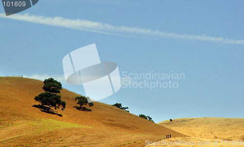 Image of Golden hills