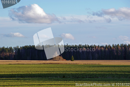 Image of Fall Field and Sky Landscape