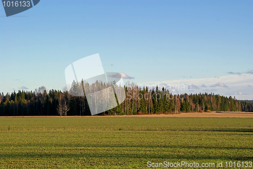 Image of Green Field in October