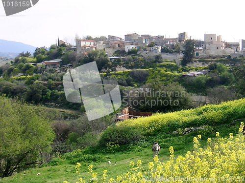 Image of Cyprus villiage in Troodos mountains