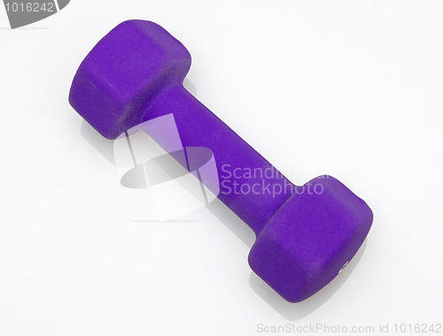 Image of Purple Dumbbell