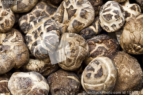 Image of Close up dry mushrooms 