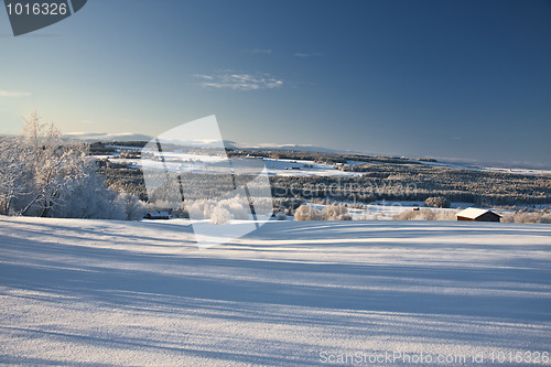 Image of Beautiful winter landscape