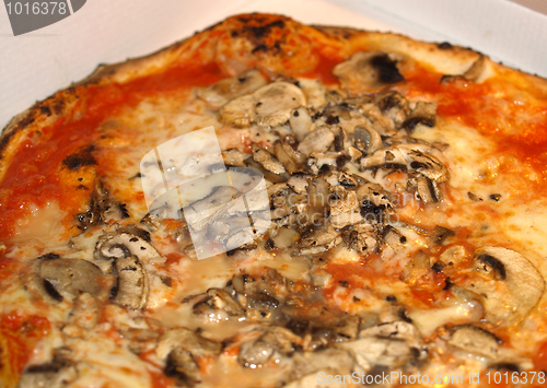 Image of Mushroom Pizza