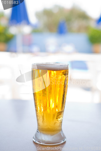 Image of Fresh and cold foamy beer