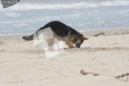 Image of Strandgrabung Beach excavation 