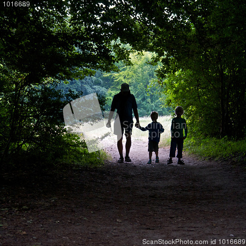 Image of Walking in the forest