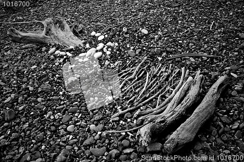 Image of Stones and wooden sticks on a pebble beach