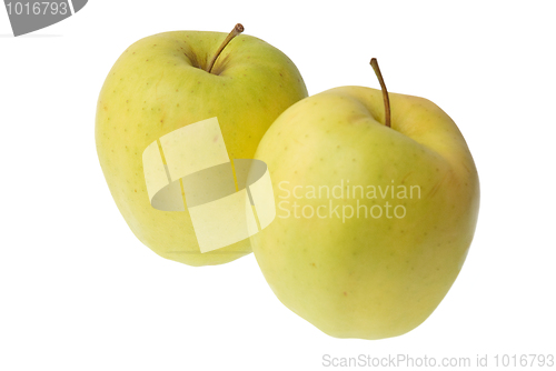 Image of Ripe apples