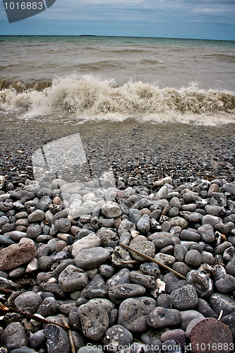 Image of Pebble beach