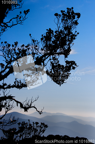 Image of Mountain Scenery