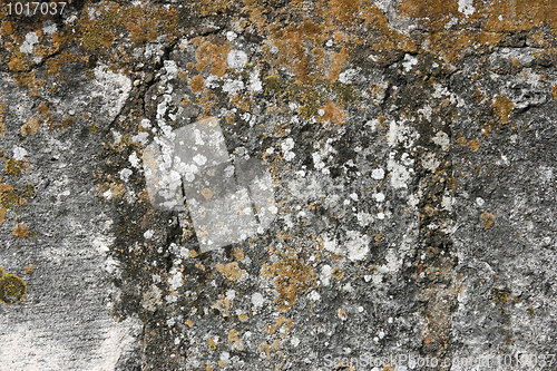 Image of Lichen covered wall