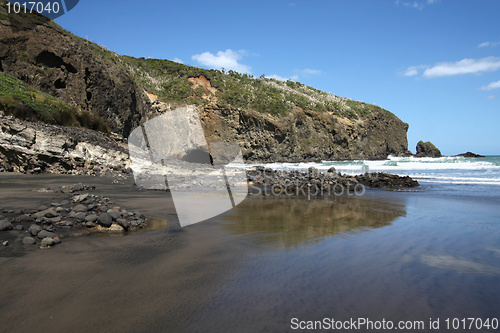 Image of Bethells Beach