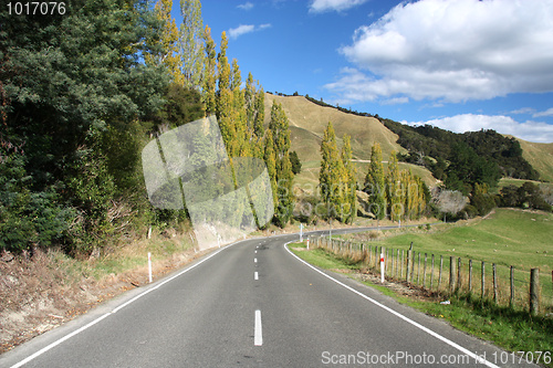 Image of Rural road in New Zealand