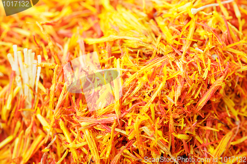 Image of Saffron leaves spice background