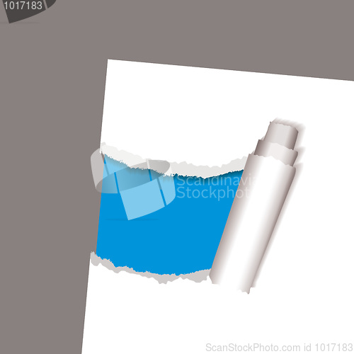 Image of torn paper reveal curl