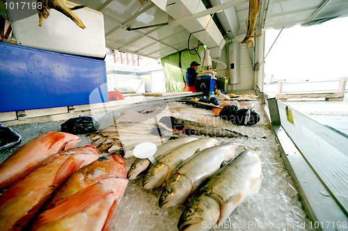 Image of The fish market