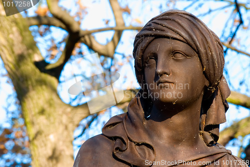 Image of Women's Bronze